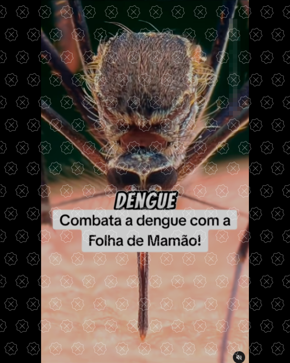 Vídeo mostra imagem de um mosquito picando pele humana. Legenda diz: combata a dengue com a folha de mamão