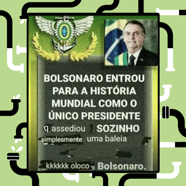 Card diz ‘Bolsonaro entrou para história mundial como o único presidente q assediou sozinho simplesmente uma baleia kkkkk oloco, Bolsonaro’