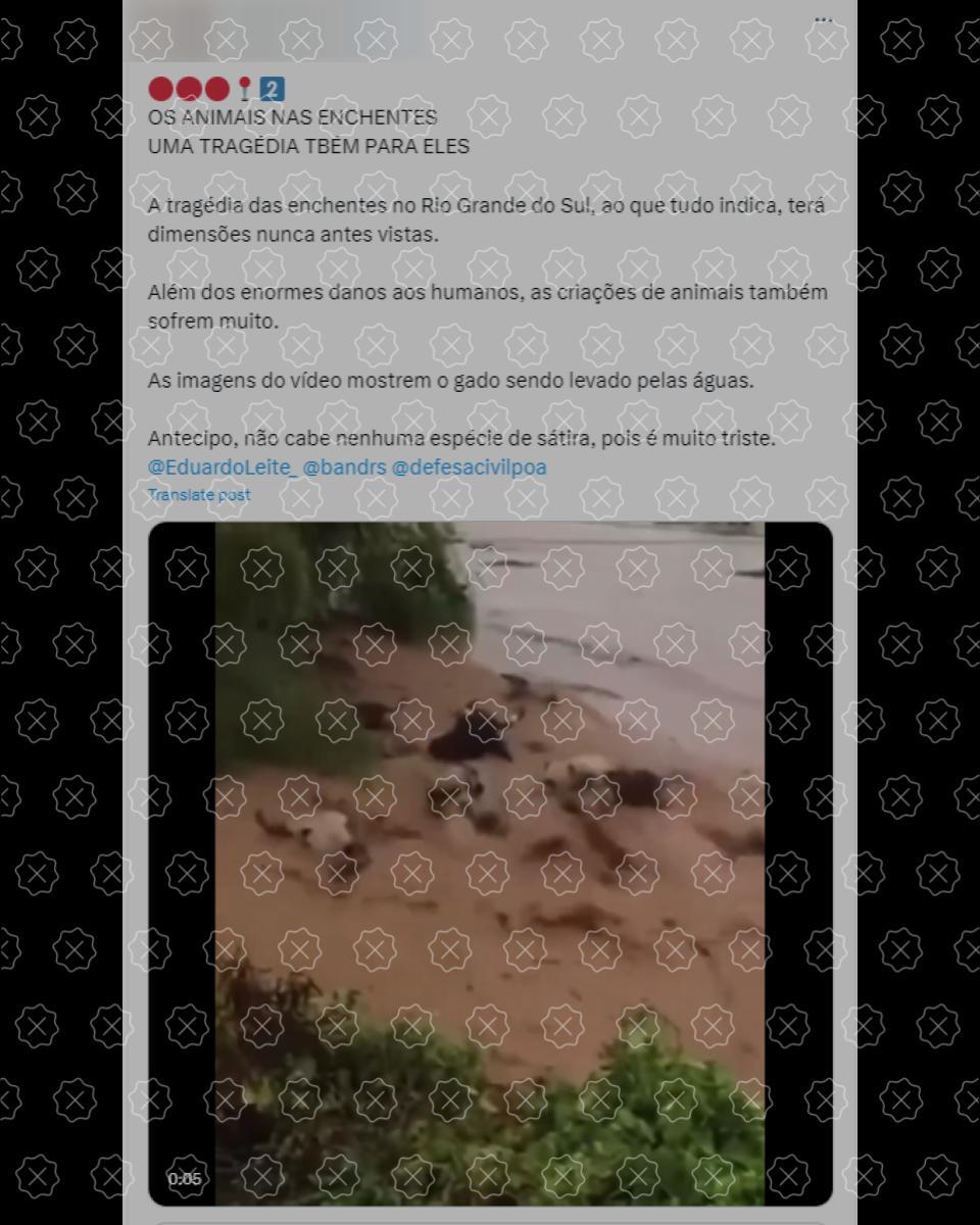 Vídeo que mostra gado levado por correnteza é acompanhado de legenda enganosa que atribui imagens às atuais enchentes que ocorrem no Rio Grande do Sul