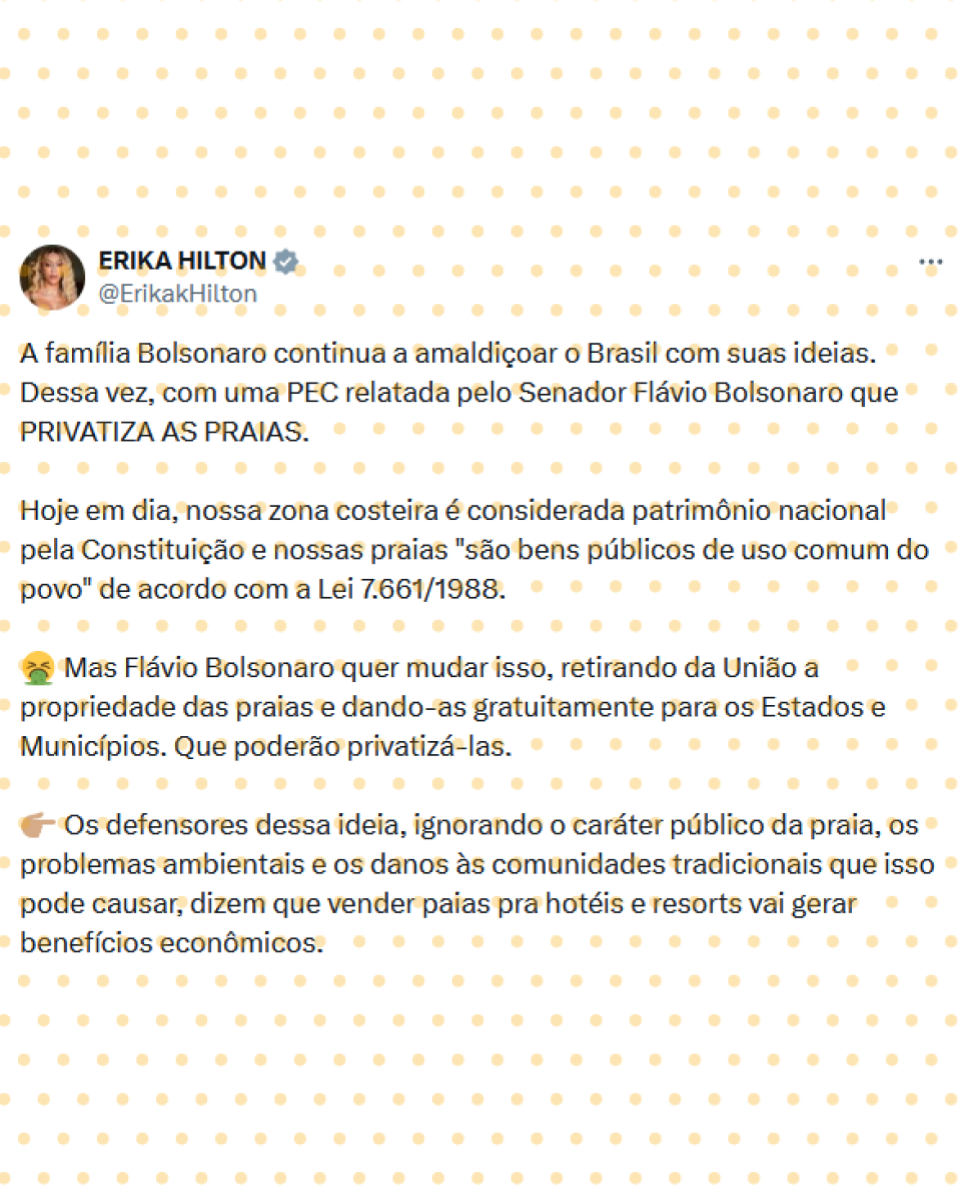 Publicação no X em que deputada Erika Hilton alega que ‘PEC das Praias’ vai privatizar litoral brasileiro