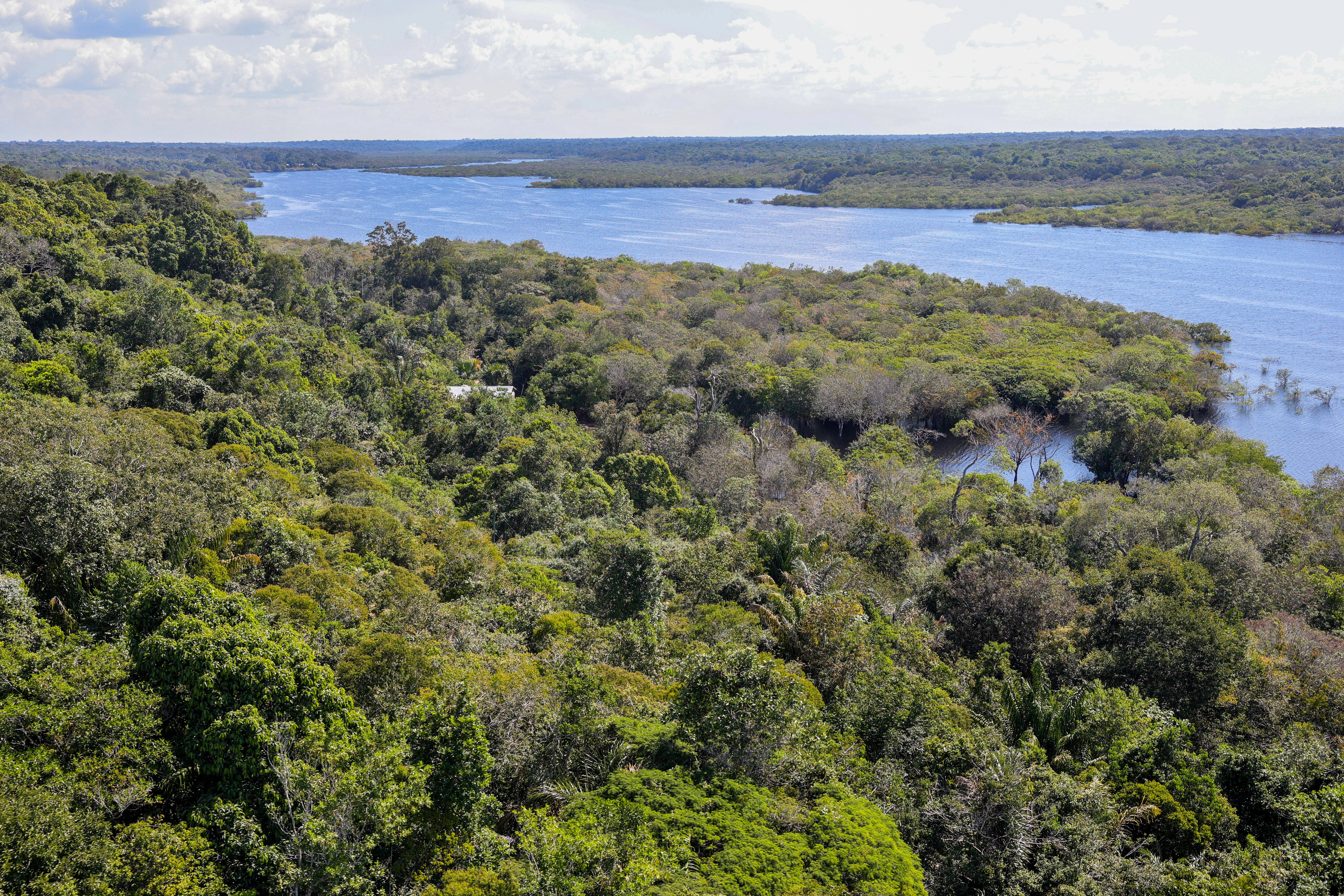 A imagem mostra uma paisagem com uma grande área de floresta densa e verde. À direita, há um rio largo de águas azuis que serpenteia entre a vegetação. O céu está claro, com algumas nuvens brancas espalhadas, e o horizonte mostra a continuidade da floresta e do rio ao longe.