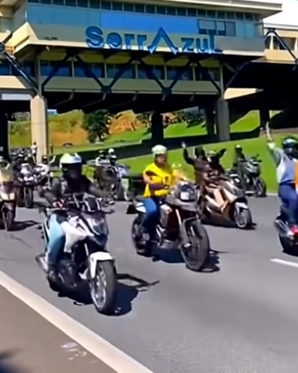 A imagem mostra um grupo de motociclistas circulando por uma rodovia de múltiplas faixas; alguns usam capacetes de cores variadas e roupas como camiseta amarela, jaqueta escura e colete azul, enquanto erguem os braços ou mantêm as mãos no guidão. Ao fundo, aparece uma estrutura elevada com a inscrição ‘Serra Azul’ e áreas verdes próximas ao acostamento.