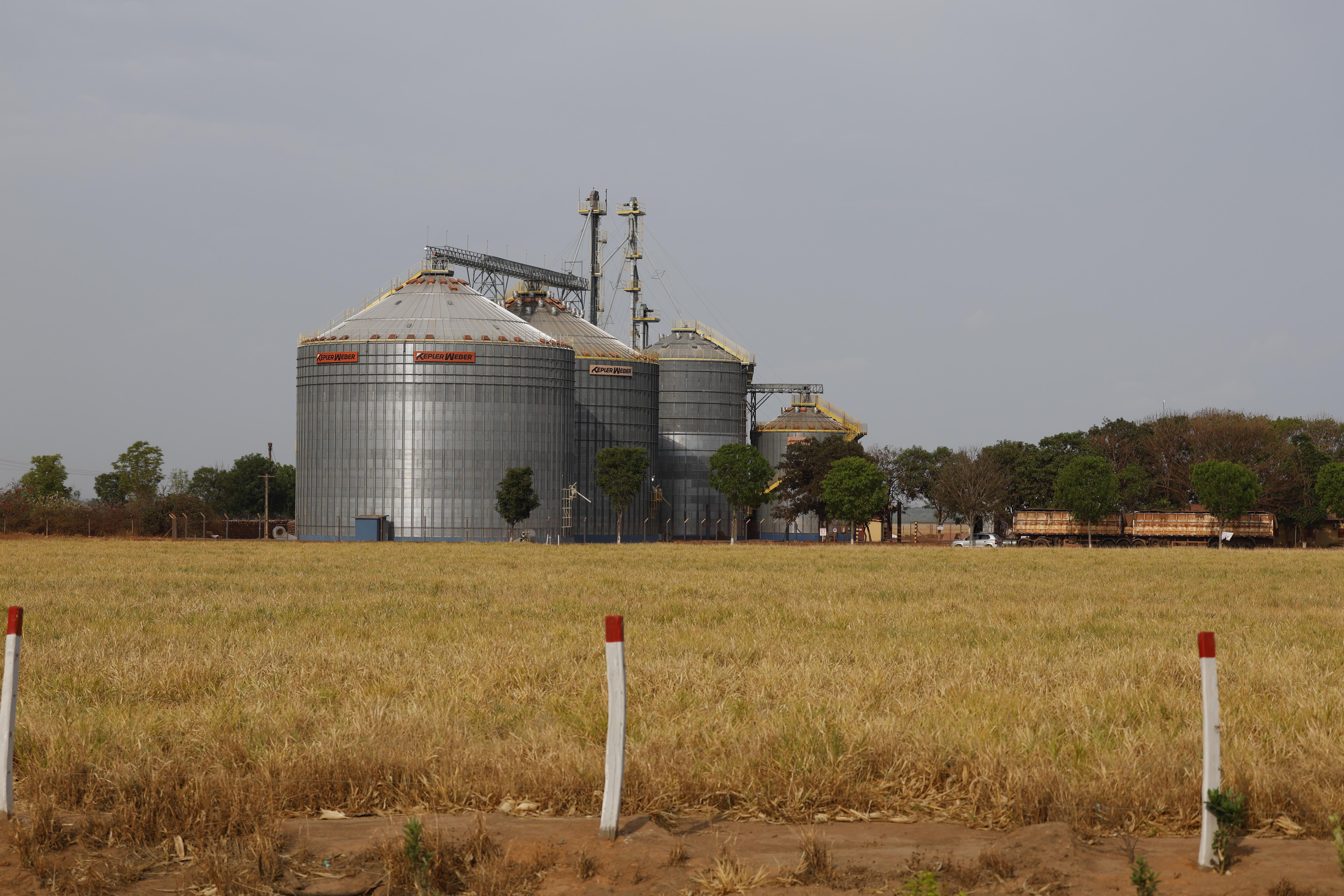 Imagem de uma área rural aberta, com um campo de capim seco ocupando a maior parte do primeiro plano. No centro inferior da imagem, há uma estaca branca com a ponta vermelha fincada no solo, próxima a uma faixa de terra exposta. Ao fundo, aparecem grandes silos metálicos cilíndricos, de cor cinza, com telhados cônicos claros. Os silos estão agrupados e interligados por estruturas metálicas, passarelas elevadas, tubulações e torres verticais. Em alguns pontos dos silos, há faixas com logotipos em cores contrastantes. À direita dos silos, vê-se uma fileira de árvores de médio porte e, parcialmente visível entre elas, um conjunto de vagões ou caminhões alongados de cor marrom. O céu ocupa a parte superior da imagem e é claro, em tom acinzentado uniforme, sem nuvens visíveis.