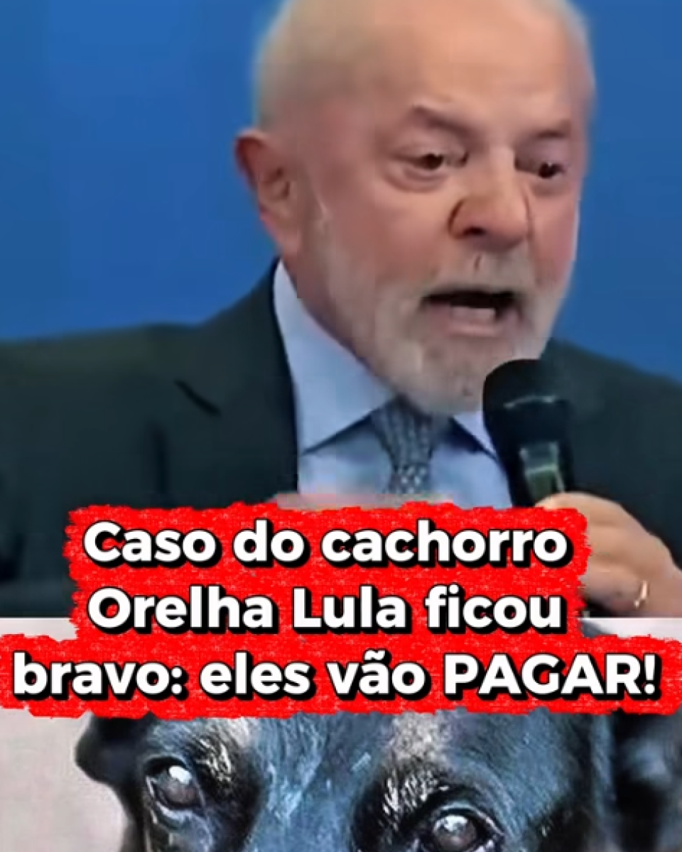 Montagem dividida em duas partes. Na parte superior, aparece o presidente Lula — homem de pele clara, cabelo curto grisalho e barba branca — vestindo terno escuro, camisa clara e gravata, segurando um microfone e falando diante de um fundo azul. Sobre essa parte da imagem há um texto que diz: ‘Caso do cachorro Orelha. Lula ficou bravo: eles vão PAGAR!’. Na parte inferior, é exibido o close de um cachorro de pelagem escura.
