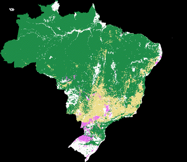 Animação mostra o mapa do Brasil sobre fundo preto. Nela, se vê a área verde localizada na região norte do país sendo paulatinamente coberta de amarelo. Ao mesmo tempo, regiões do centro e do sul do mapa que antes estavam pintadas de amarelo passam a exibir a cor rosa.