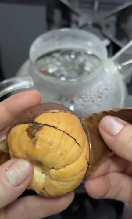 A imagem mostra duas mãos segurando um caroço de abacate, objeto arredondado de cor marrom por fora e amarelo por dentro, com textura irregular. A parte externa está sendo aberta, revelando o interior amarelado com uma linha escura atravessando a superfície. Os dedos estão posicionados nas laterais do objeto, puxando a casca para fora. Ao fundo, há um recipiente de vidro transparente com líquido claro, com pequenas bolhas visíveis.