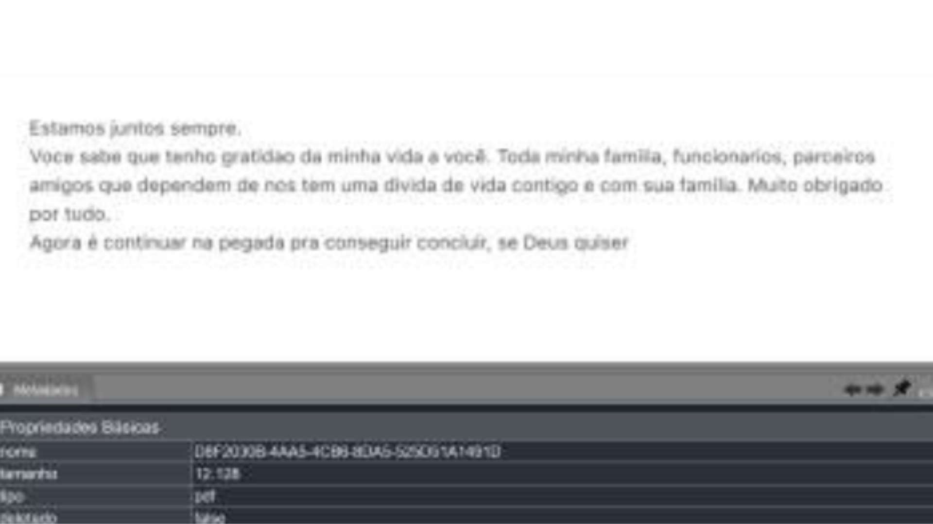 Captura de tela dividida horizontalmente em duas seções: a parte superior exibe um texto com letras pretas em fundo branco, onde se lê: 'Estamos juntos sempre. Você sabe que tenho gratidão pela minha vida a você. Toda minha família, funcionários, parceiros e amigos que dependem de nós tem uma dívida de vida contigo e com sua família. Muito obrigado por tudo. Agora é continuar na pegada pra conseguir concluir, se Deus quiser'. A parte inferior apresenta uma aba de metadados em tons de cinza escuro. O texto da parte inferior é: Cabeçalho: 'Metadados' (à esquerda) com ícones de navegação e fixação (à direita). Seção: 'Propriedades Básicas' Nome: 'D8F2030B-4AA5 -4CB8-8DA5-525D91A1491D' Tamanho: '12.128' Tipo: 'pdf.