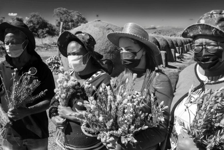Mulheres de máscara e chapéu colhendo flores sempre-vivas