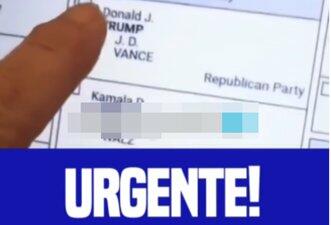 É falso que voto para Trump foi computado para Kamala Harris