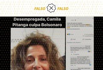 Não é verdade que Camila Pitanga ficou desempregada e culpou Bolsonaro