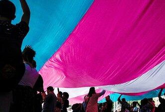 Posts transfóbicos usam vídeos fora de contexto para disseminar ódio nas redes