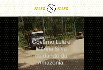 Vídeo que mostra extração ilegal de madeira na Amazônia é de 2019, não recente
