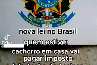Não é verdade que Lula criou imposto para tutores de cães