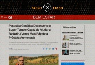 É falso que ‘G1’ noticiou que ‘super tomate’ da Embrapa reduz inflamações na próstata