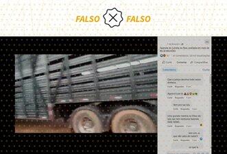 Fazenda no Pará mostrada em vídeo não pertence a filho de Lula