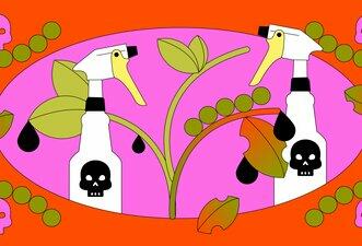Resíduos de agrotóxicos não somem totalmente de alimentos após carência