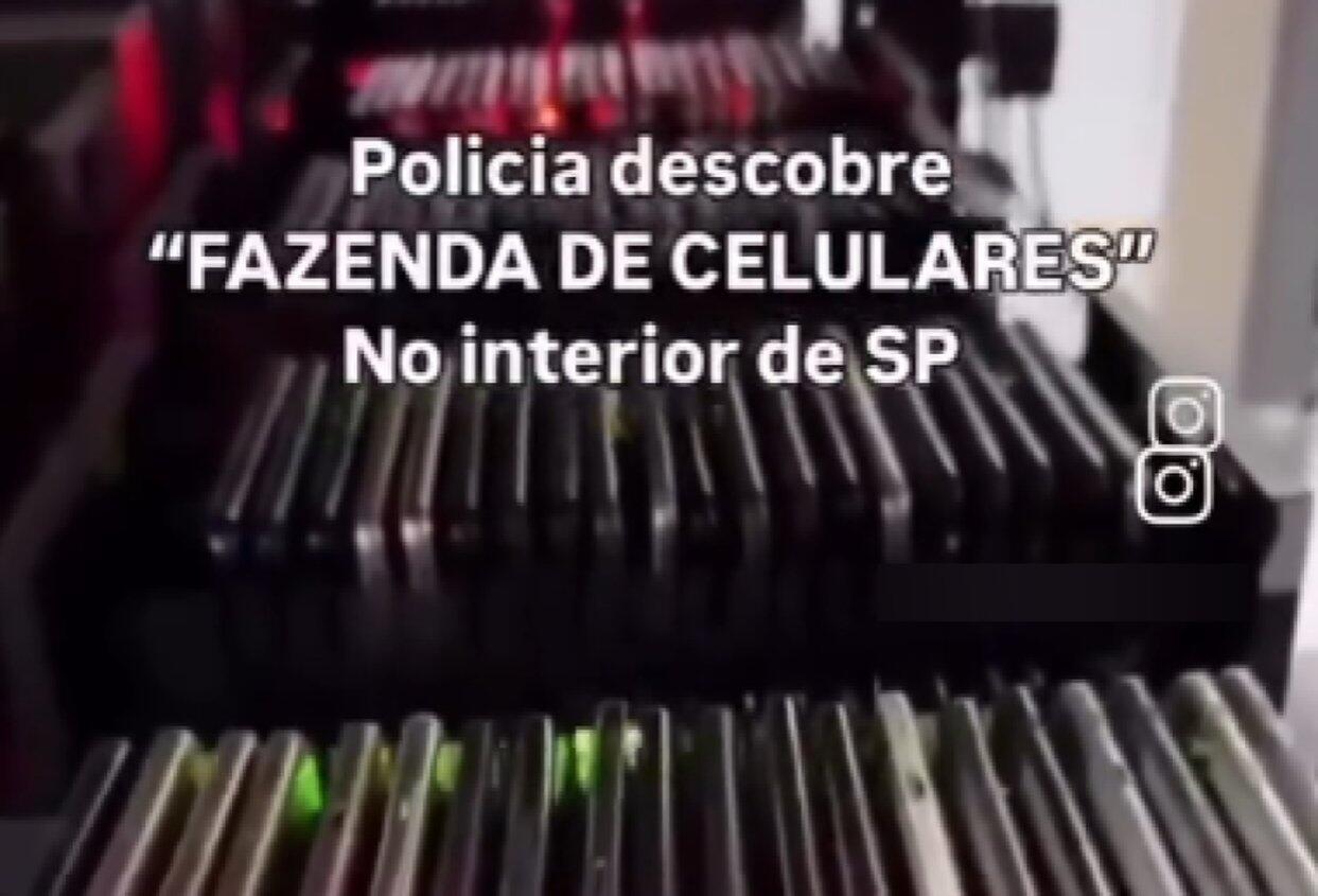 É falso que polícia descobriu ‘fazenda de celulares’ de Nikolas Ferreira