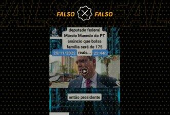 É falso que deputado petista disse que Bolsa Família será de R$ 175