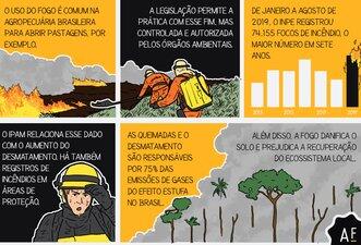 Desenhamos fatos sobre as queimadas no Brasil
