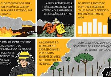 Desenhamos fatos sobre as queimadas no Brasil
