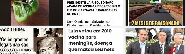 Bolsonaro foi o mais citado em desinformação checada no Facebook em 2019