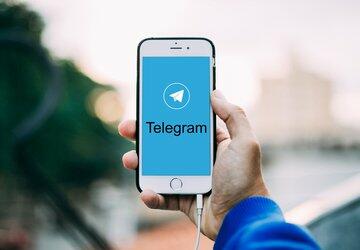 Grupo bolsonarista volta ao Telegram após suspensão por conteúdo sexual