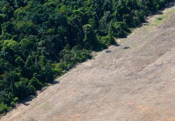 Como a devastação da Amazônia piora o clima no resto do Brasil