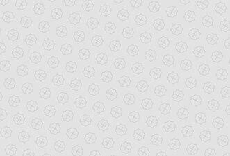 Lewandowski não era do Movimento Revolucionário 8 de Outubro na ditadura