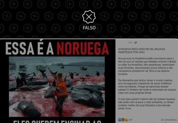 Bolsonaro amplifica difusão de imagens fora de contexto de caça a baleias para atacar a Noruega