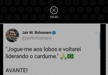É falso que Bolsonaro twittou a frase 'jogue-me aos lobos e voltarei liderando o cardume'