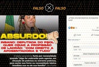Talíria Petrone não propôs projeto de lei para criar ‘profissão de ladrão’