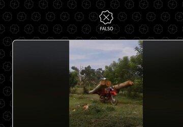Vídeo não mostra motoqueiros roubando madeira da Amazônia