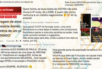De 'vachina' a 'picada da serpente', conheça o vocabulário que foi usado para desinformar em 2021