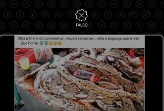 Feira de animais mostrada em vídeo não fica na China, mas na Indonésia