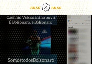 É falso que Caetano Veloso caiu de palco após ouvir gritos a favor de Bolsonaro