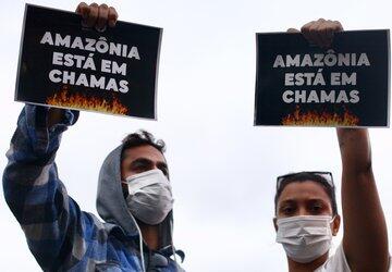 O que realmente se sabe sobre as queimadas no Brasil