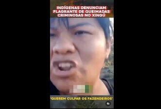 Vídeo mostra queimada controlada, não ação criminosa de brigadistas do Ibama no Parque do Xingu